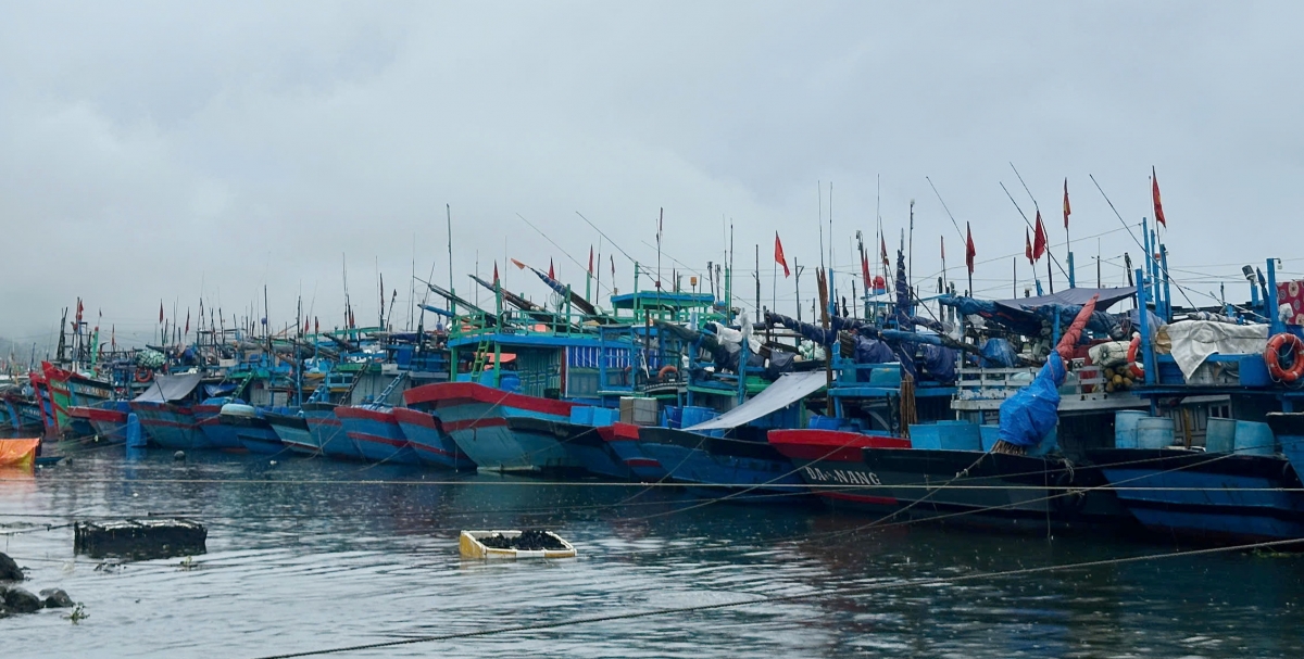 Phương tiện vào neo đậu tại Âu thuyền và cảng cá Thọ Quang.