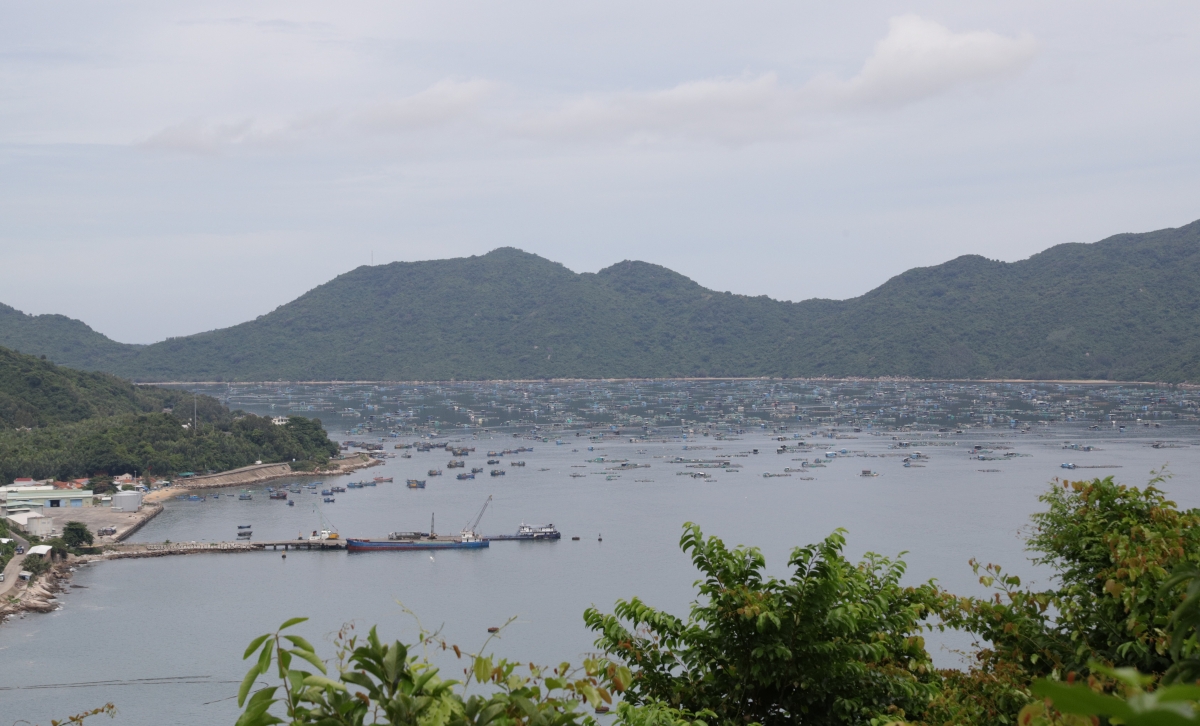 Vùng biển cảng Vũng Rô, xã Tuy An Nam, tỉnh Đắk Lắk khá khuất gió, an toàn cho ngư dân tránh trú bão.