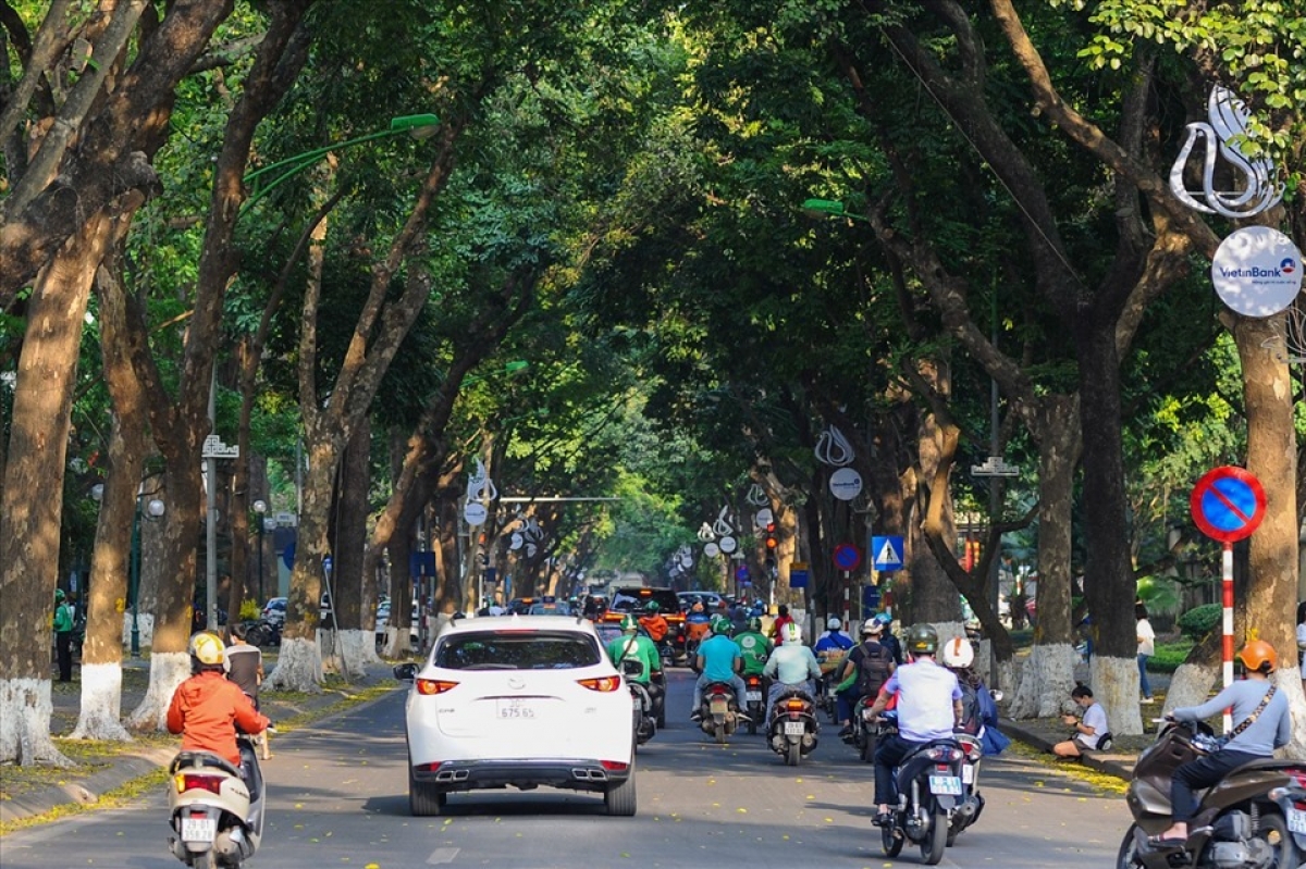 Đường Phan Đình Phùng - con đường được mệnh danh "lãng mạn nhất" thủ đô với những hàng cây cổ thụ xanh rợp bóng.