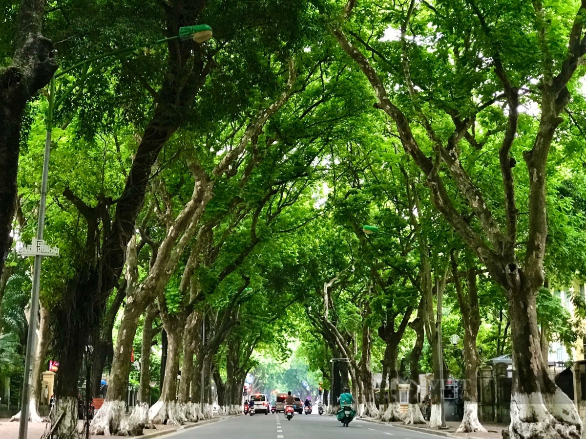 Tuyến phố không rác Phan Đình Phùng
