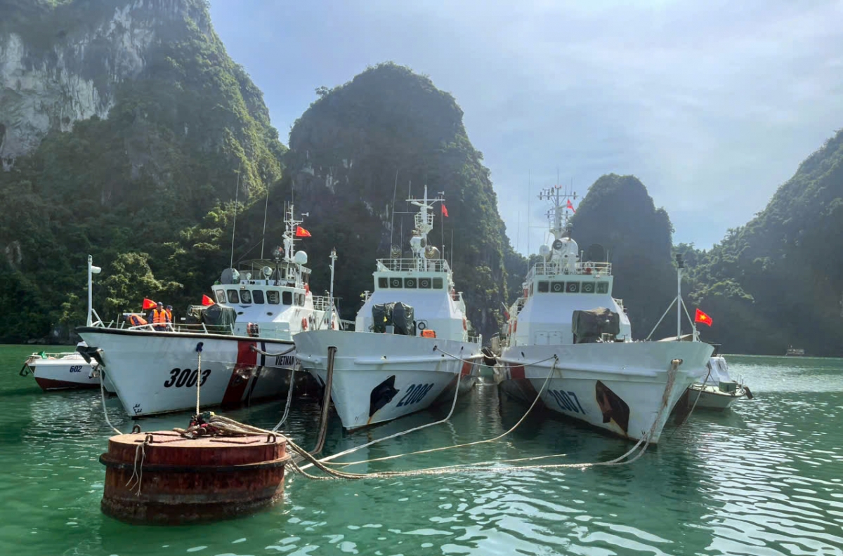 Các tàu của Hải đoàn 11 tại khu trú đậu sẵn sàng thực hiện nhiệm vụ tìm kiếm cứu nạn.