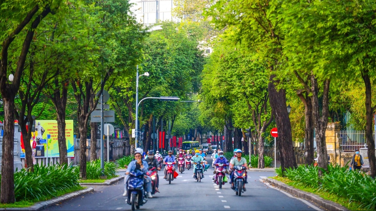 TPHCM quyết tâm xây dựng đô thị xanh