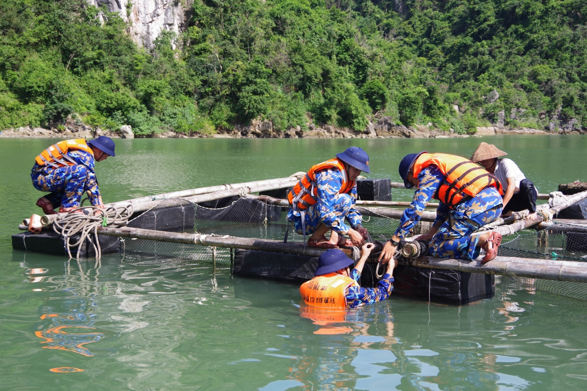 Cán bộ, chiến sĩ Lữ đoàn 170 giúp dân chằng gia cố, chằng buộc lồng bè nuôi thủy sản trên Vịnh Hạ Long
