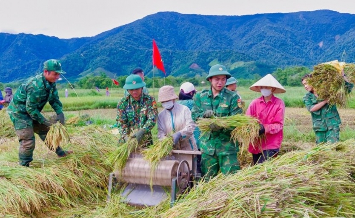 Cán bộ, chiến sỹ QĐND giúp dân thu hoạch lúa