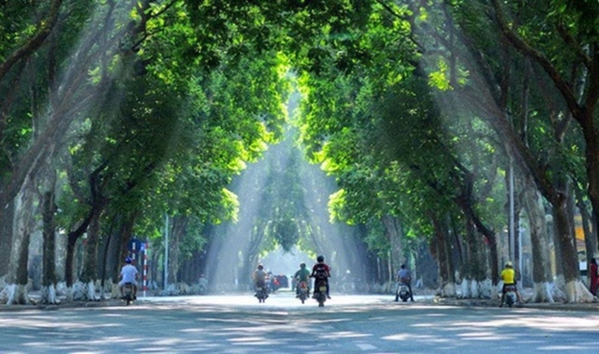 Phố Phan Đình Phùng rợp bóng cây xanh