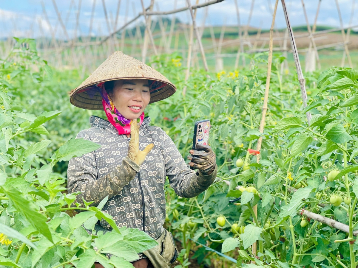 Gia đình chị Lò Thị Thơm và nông dân bản Cang ngày có nhiều đơn đặt hàng từ việc tích cực live bán hàng trực tiếp