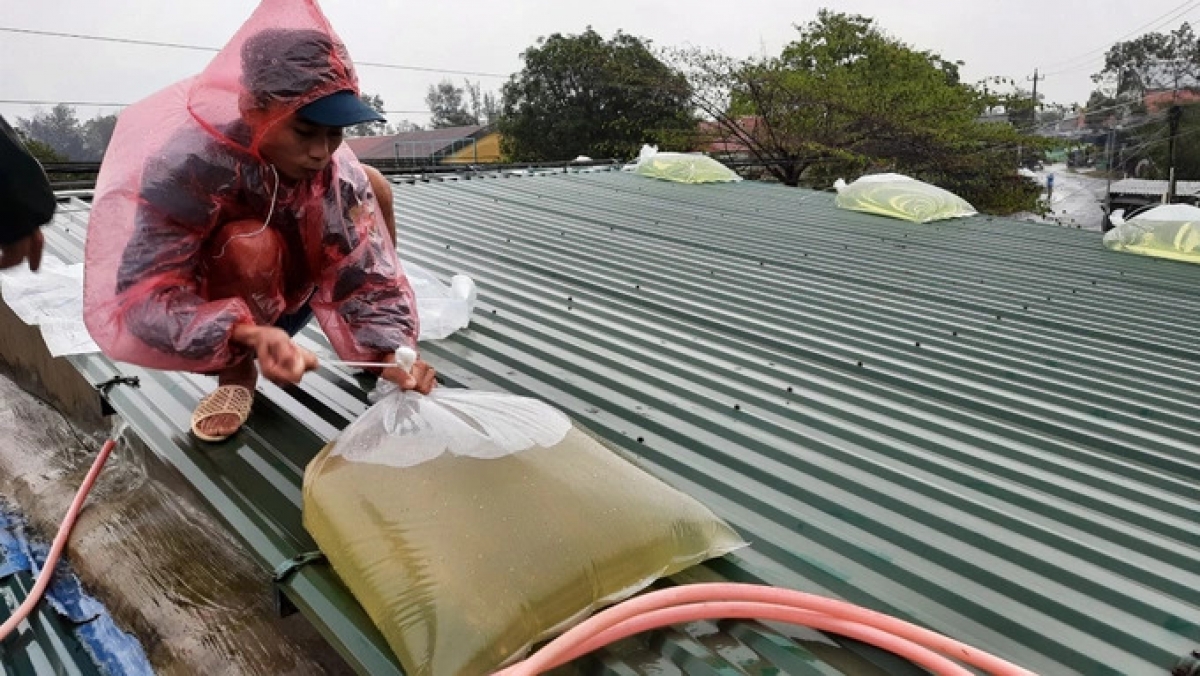 Kỹ năng ứng phó trước bão