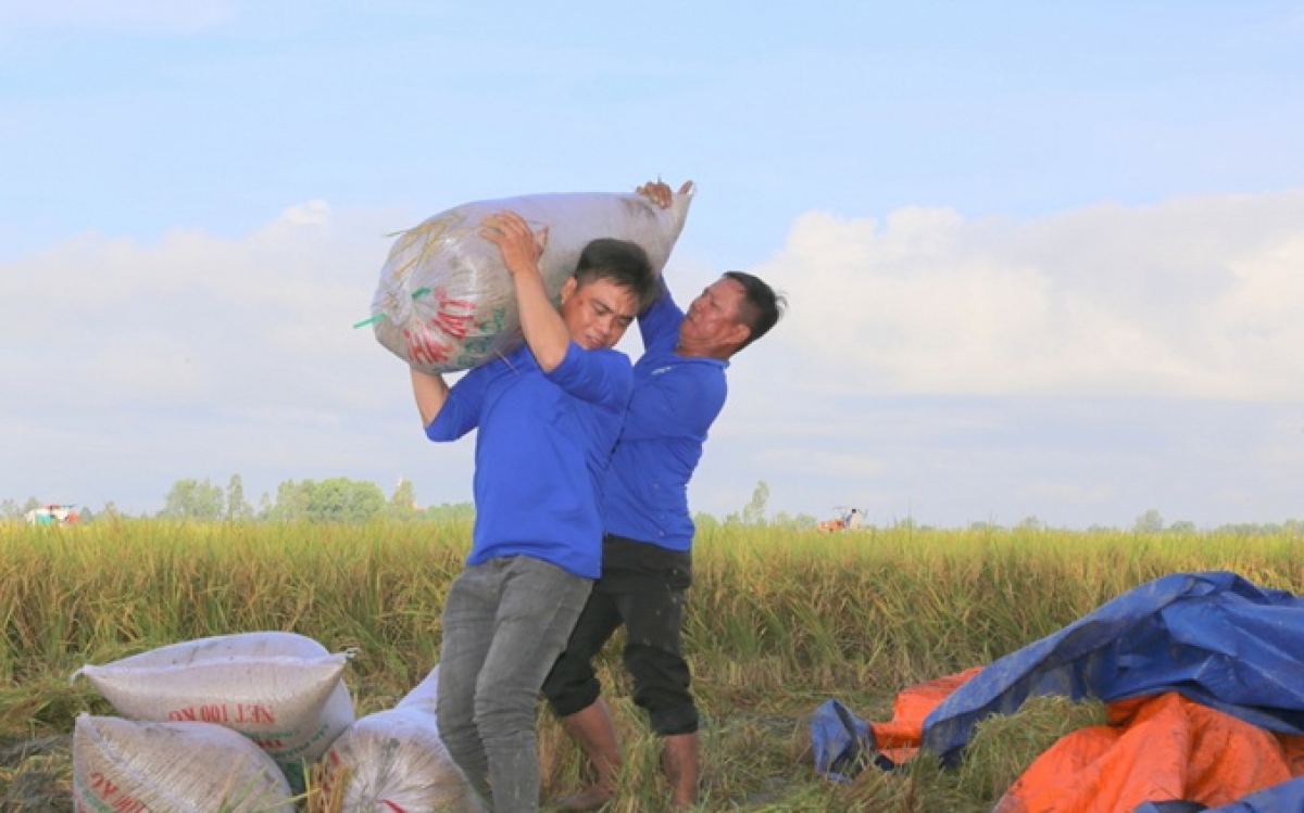 Sở Nông nghiệp Cần Thơ sẽ tập trung kiểm tra, kiểm soát phân bón, thuốc bảo vệ thực vật.