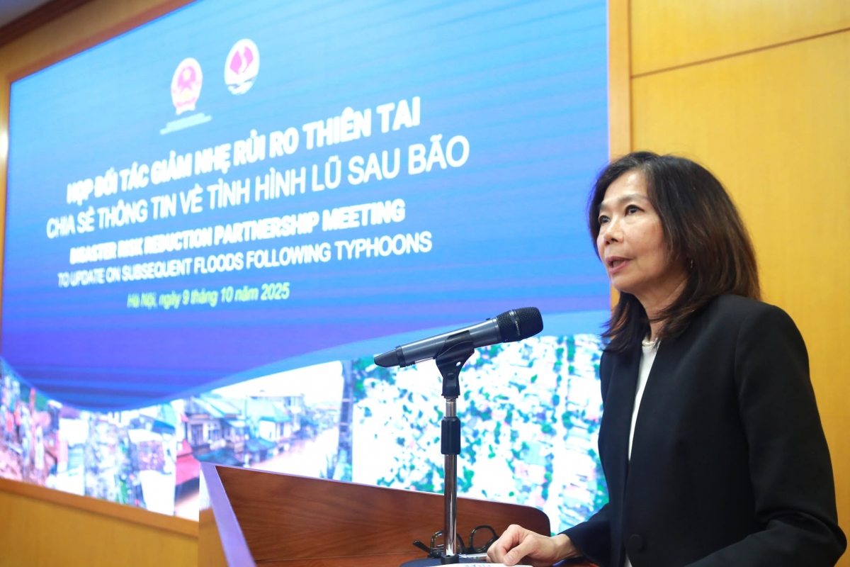 Bà Pauline Tamesis – Điều phối viên thường trú Liên Hợp Quốc tại Việt Nam