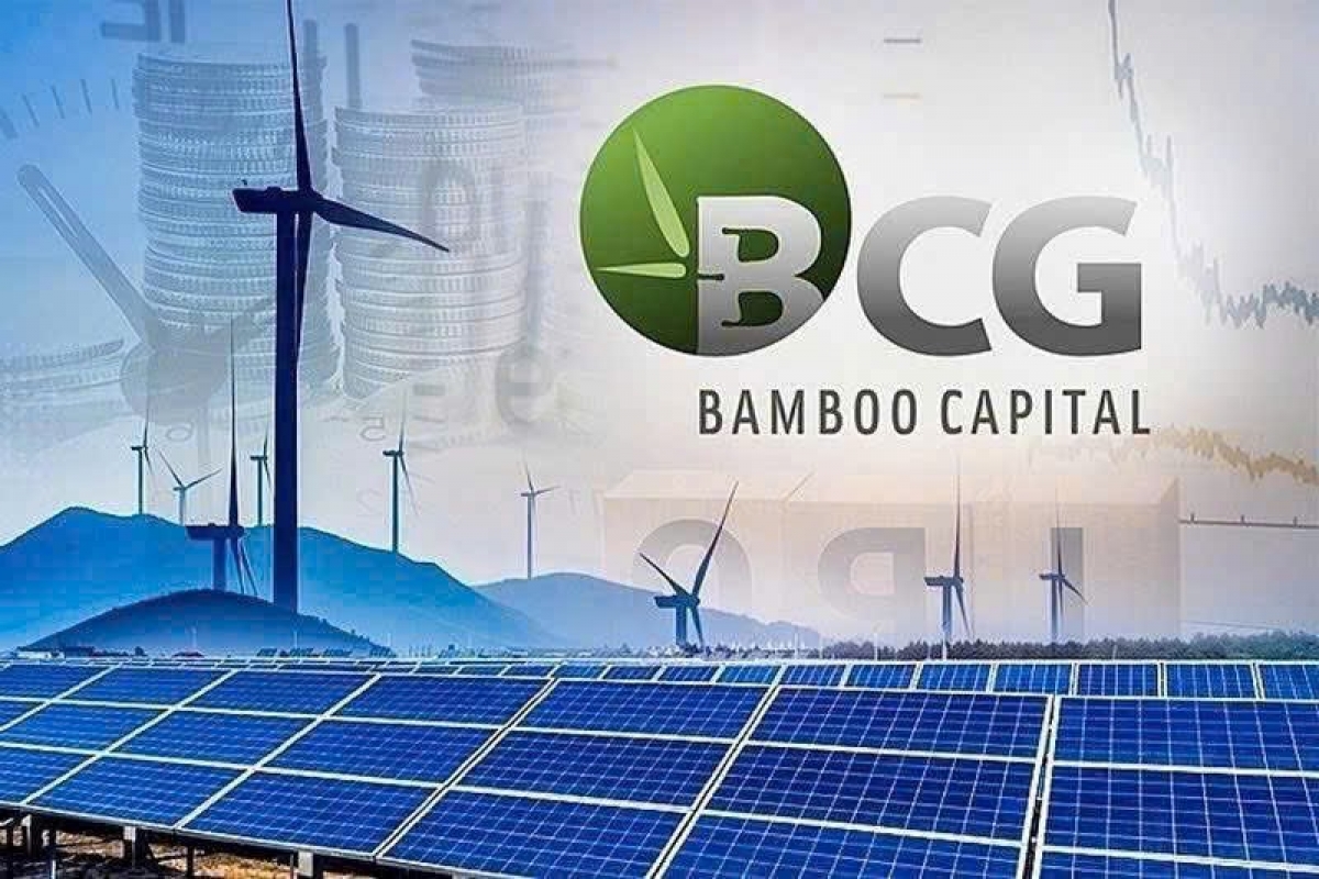 Dự kiến ngày 31/12/2025 Bamboo Capital, Tracodi sẽ phát hành Báo cáo tài chính hợp nhất năm 2024