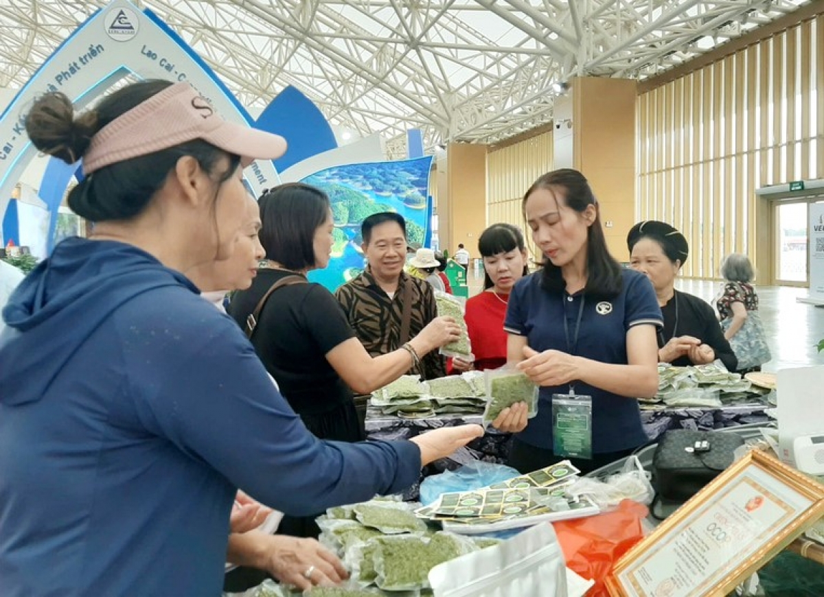 Nông sản tìm kiếm cơ hội xuất khẩu từ Hội chợ Mùa thu 2025