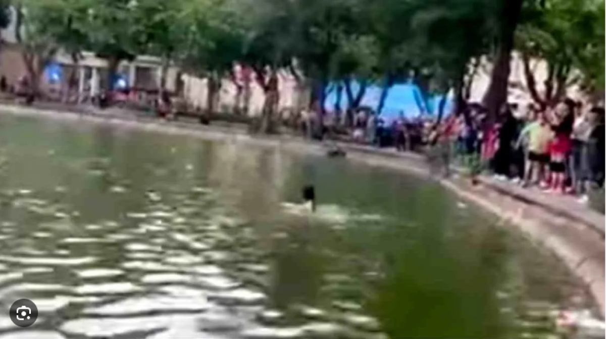 Hiện trường nơi xảy ra vụ việc.