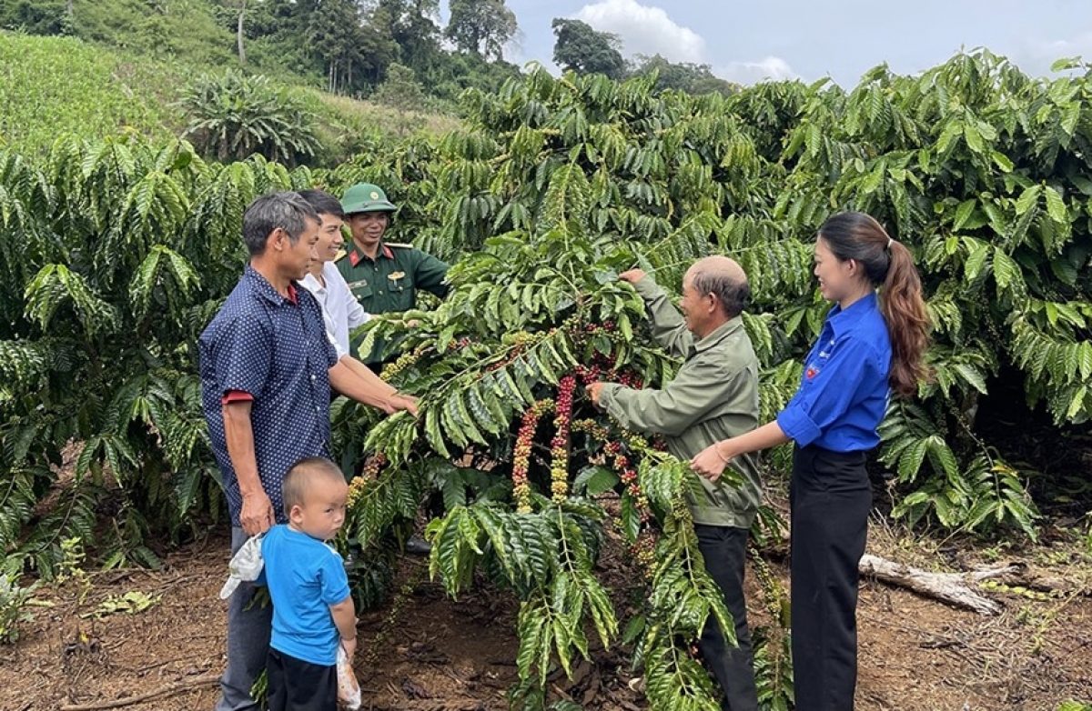 Mô hình xóa đói giảm nghèo ở Lâm Đồng