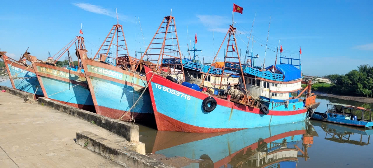 Đoàn tàu đánh cá của tỉnh Đồng Tháp đều hoạt động ổn định, chấp hành tốt quy định IUU.
