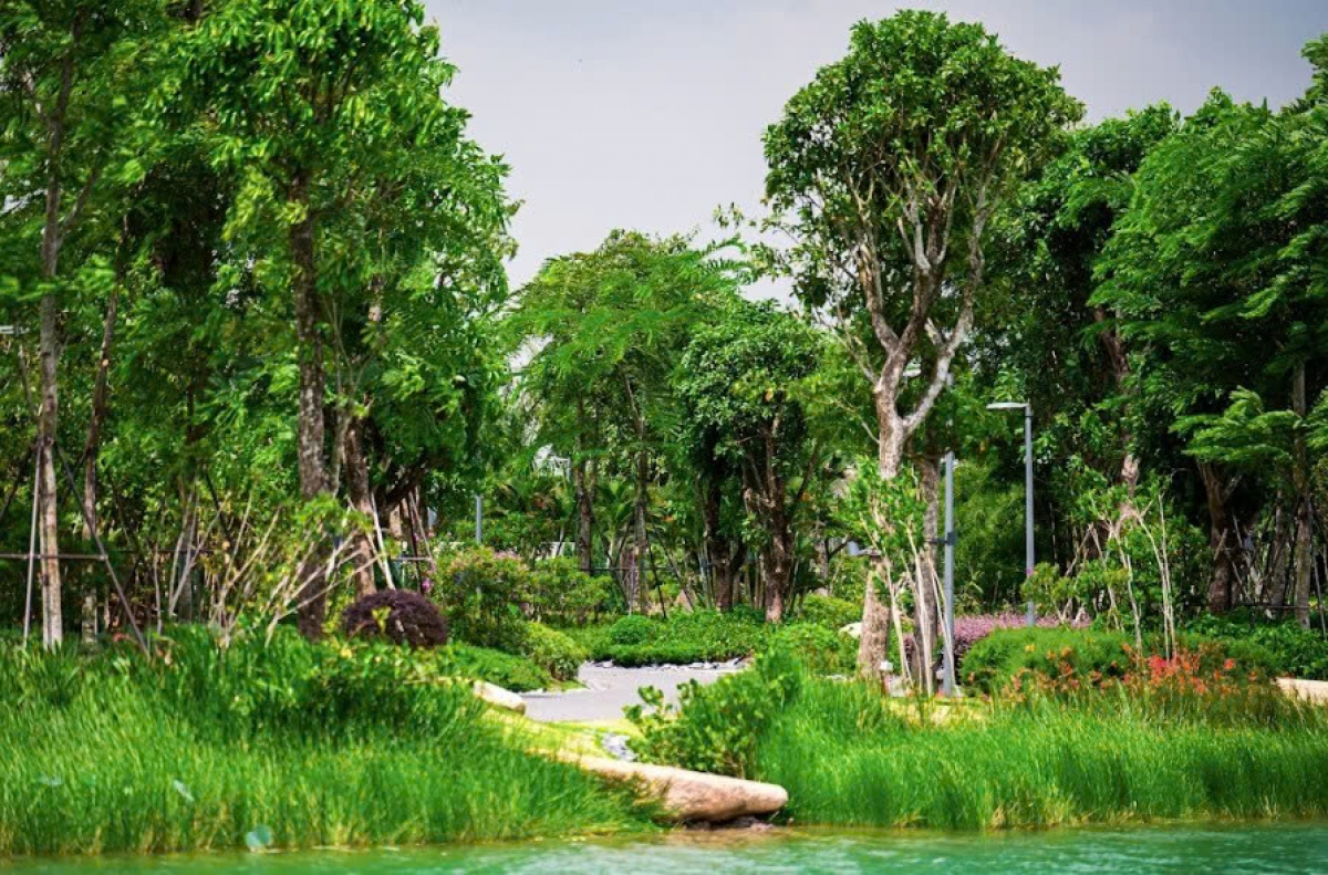 Hòa mình vào thiên nhiên để hồi phục sức khỏe là liệu pháp nhiều người lựa chọn