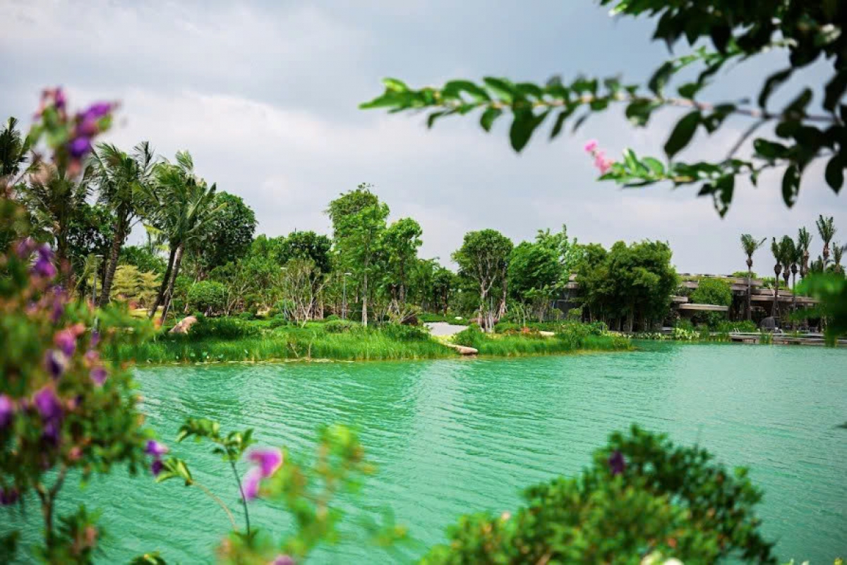 Tìm đến môi trường sống xanh giúp xoa dịu tâm trí