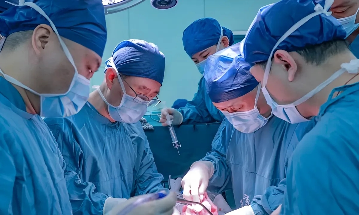 Các bác sĩ thực hiện ca ghép gan lợn cho người chết não