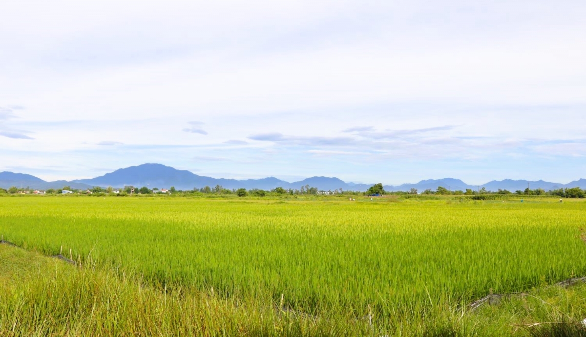 Hơn 1,2 triệu thửa đất đã được phân loại.