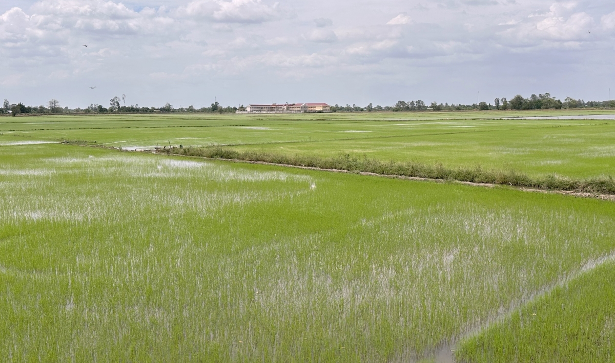 Ngành nông nghiệp Cần Thơ sẽ phối hợp kiểm tra về vật tư nông nghiệp.