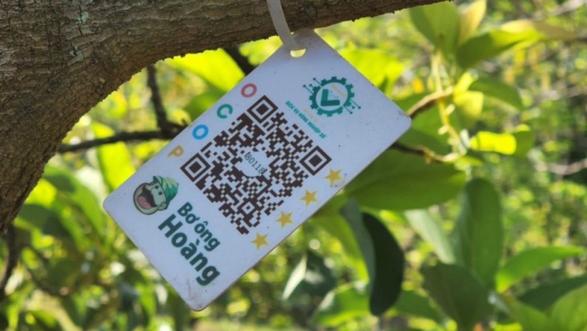 Nông dân Đồng Nai cũng chuyển đổi sản xuất thuần nông san ứng dụng khoa học công nghệ để canh tác.