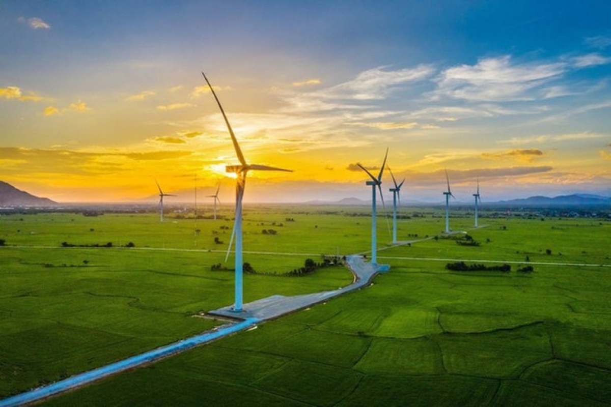 z29099888145439c04c68c590fffec39.jpg