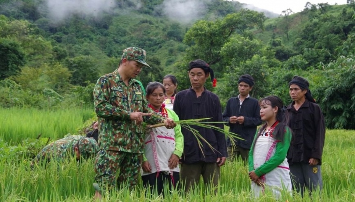 Bộ đội Biên phòng tỉnh Quảng Trị hướng dẫn đồng bào kỹ thuật trồng cây lúa nước.