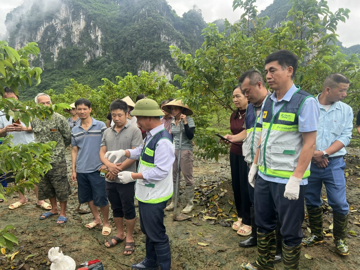 Ông Hoàng Văn Hồng, phó giám đốc Trung tâm Khuyến nông Quốc gia