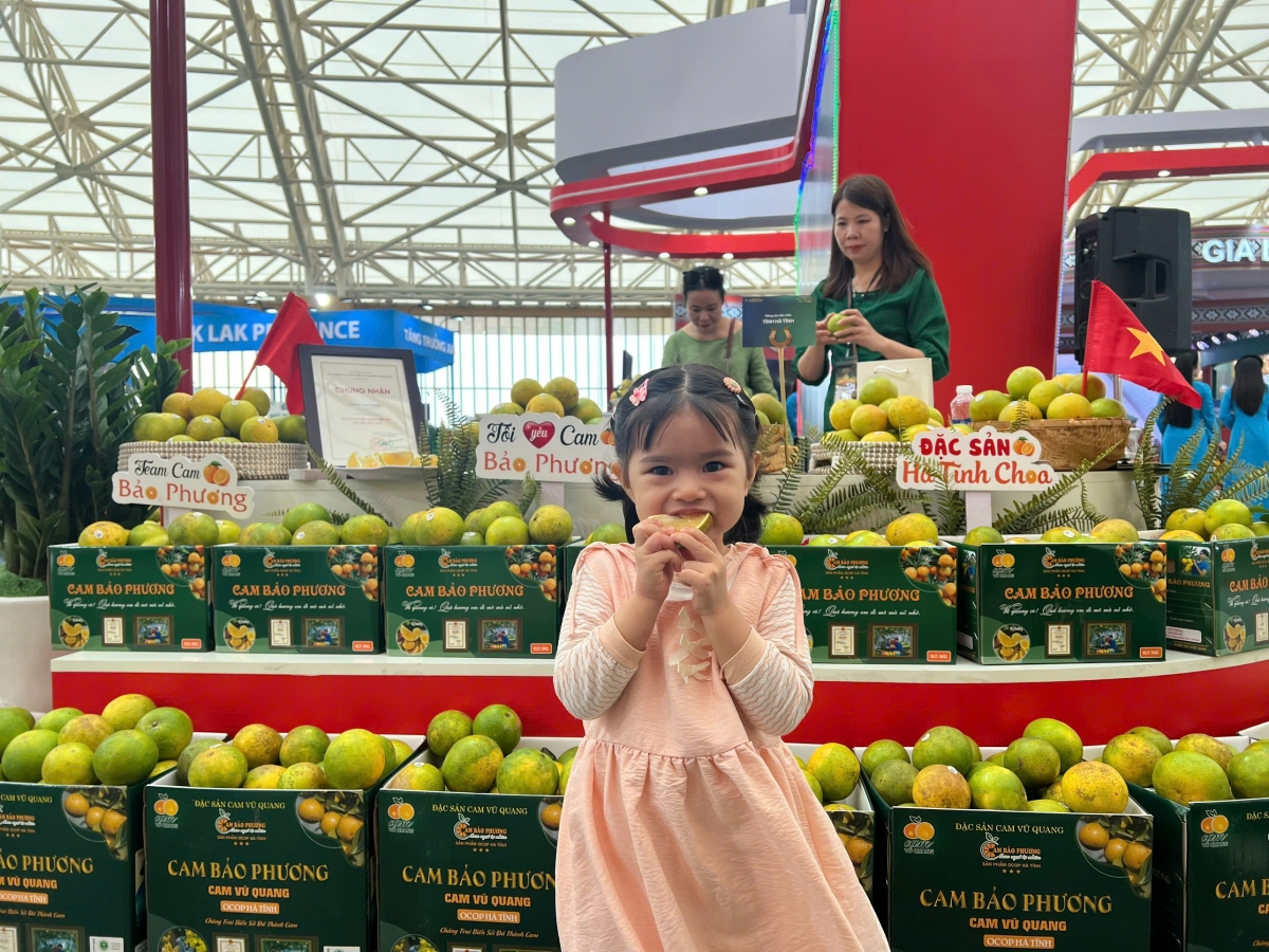 Khách hàng thưởng thức cam Bảo Phương - Hà Tĩnh