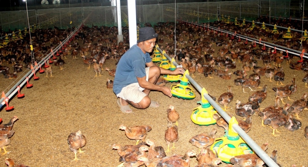 Thông qua chương trình tín dụng, các ngân hàng ở Đắk Lắk đã và đang đồng hành hiệu quả với doanh nghiệp và người dân