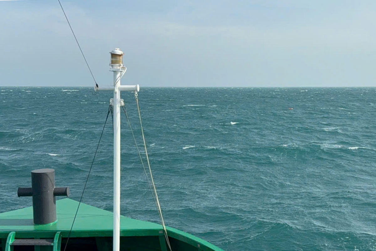 Tàu 954 cơ động tìm kiếm hai thuyền viên gặp nạn