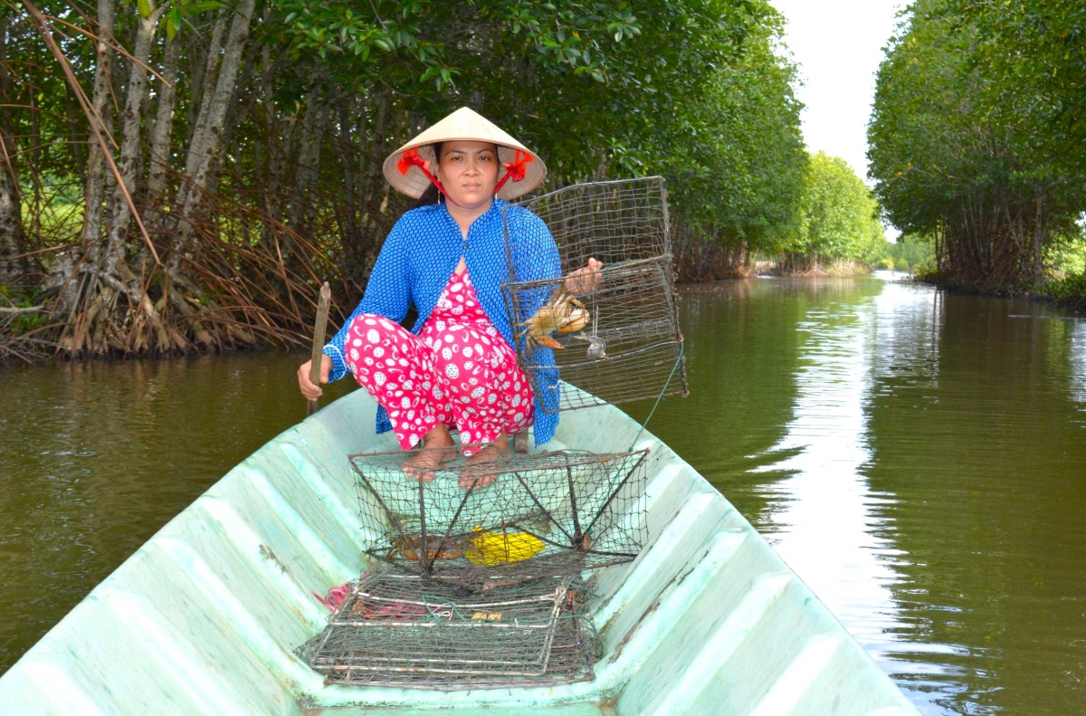 Người dân nuôi cua ở Cà Mau mong Ngày hội sẽ giúp đầu ra, giá cua thuận hơn