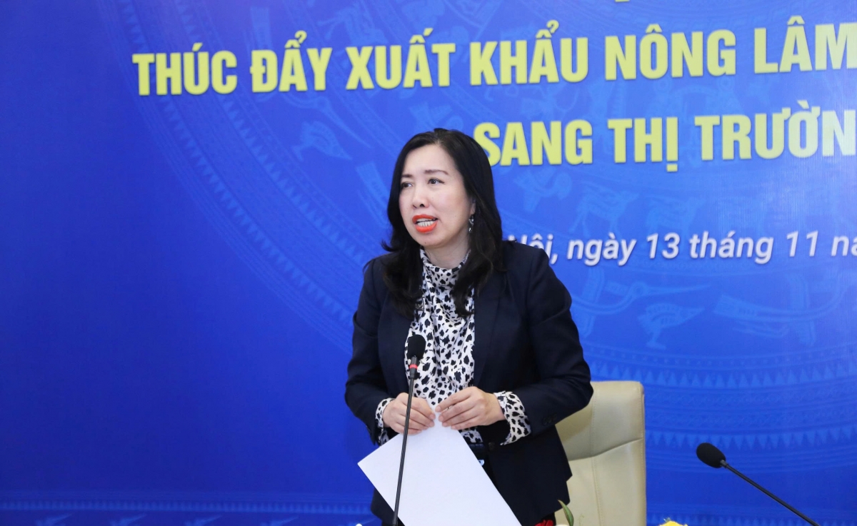 Thứ trưởng Bộ Ngoại giao Lê Thị Thu Hằng