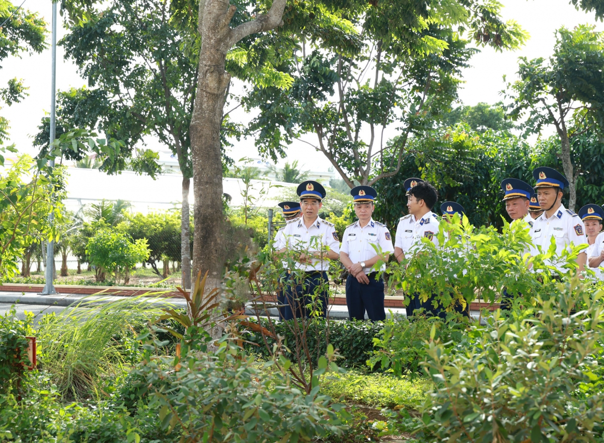 Kiểm tra vườn thuốc nam của Phòng Hậu cần  - Kỹ thuật.