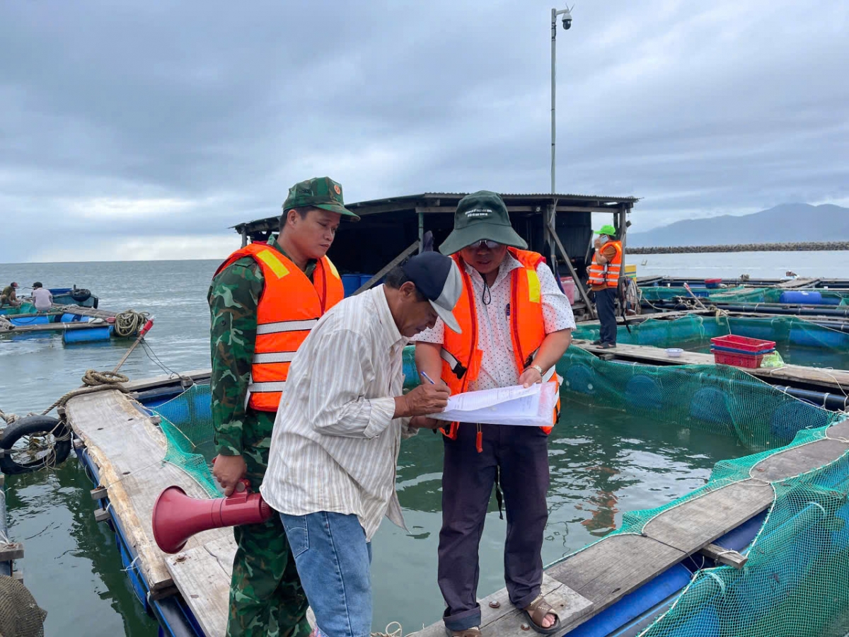 Ngày 6/11, tỉnh Gia Lai cưỡng chế tất cả các hộ dân, ngư dân trên các tàu, bè ngoài biển đều phải sơ tán tới nơi an toàn.