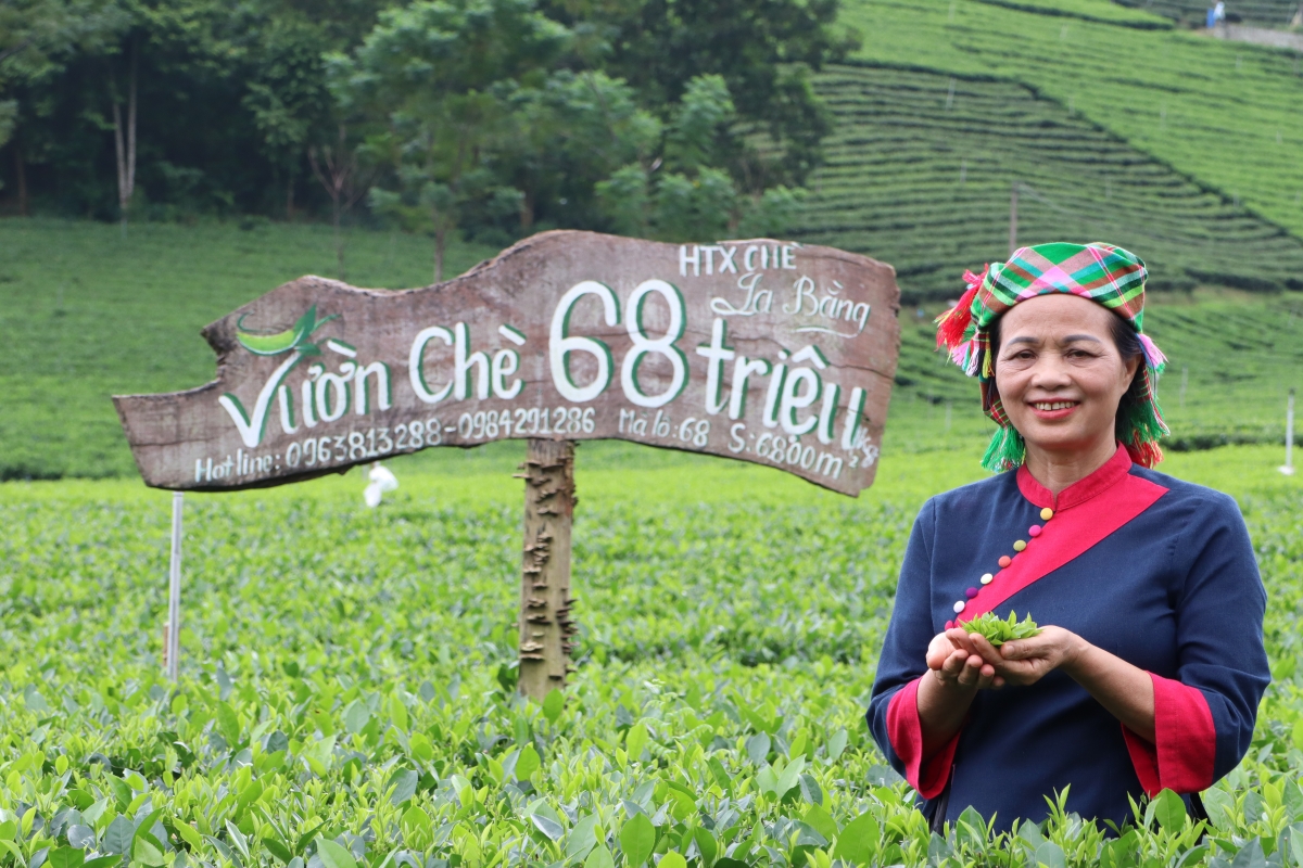 Bà Nguyễn Thị Hải chia sẻ về quá trình đến với ngành chè và lan toả tinh thần khởi nghiệp của bà.