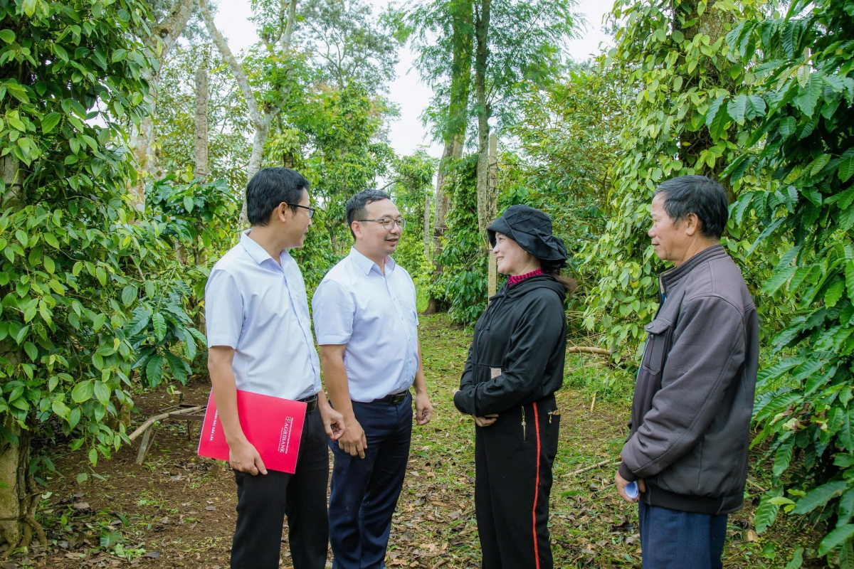 Cán bộ ngân hàng đến tận vườn rẫy để tuyên truyền, hướng dẫn người dân