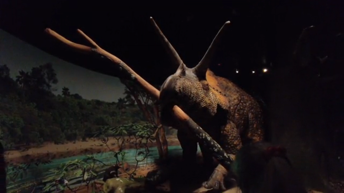 Hình ảnh khủng long tại Bảo tàng Lịch sử Tự nhiên Mỹ