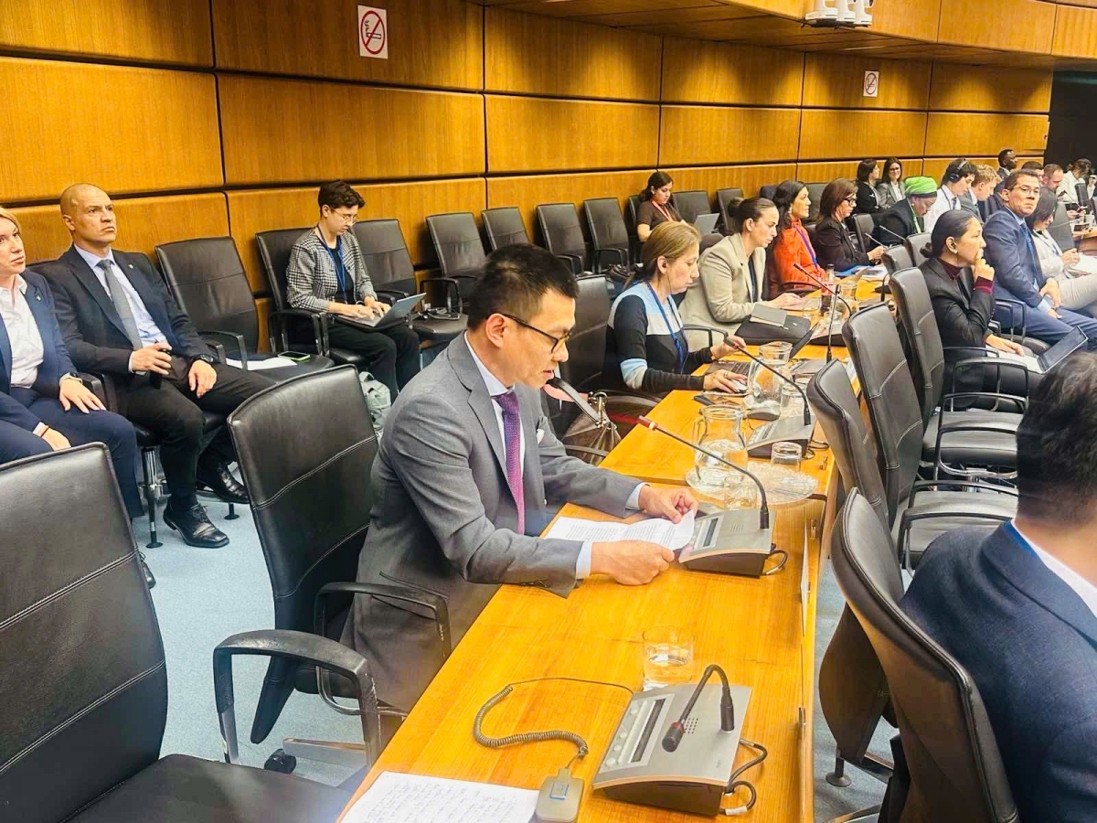 Đại sứ Vũ Lê Thái Hoàng phát biểu tại phiên họp