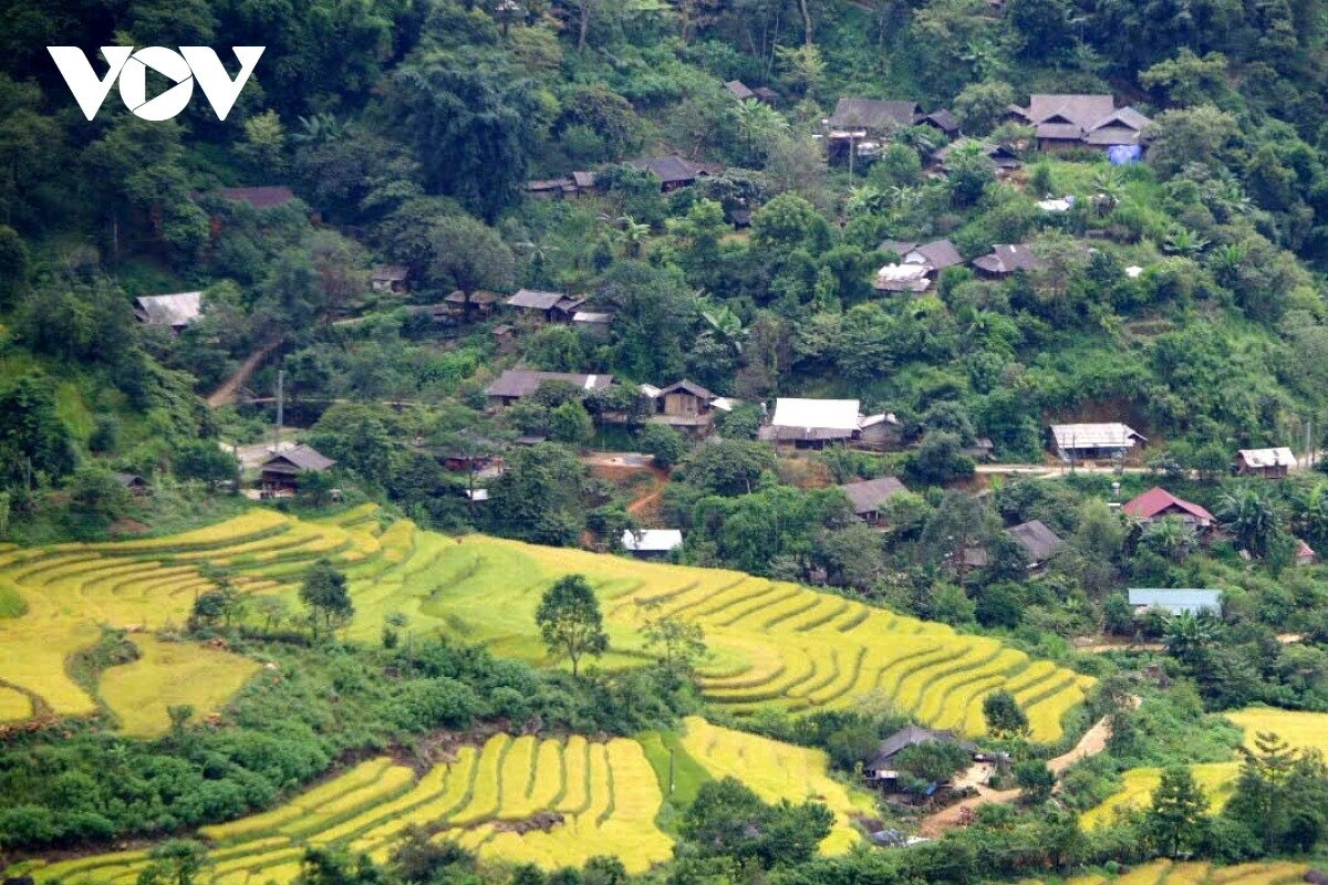 Bản du lịch cộng đồng Sin Suối Hồ mùa lúa chín