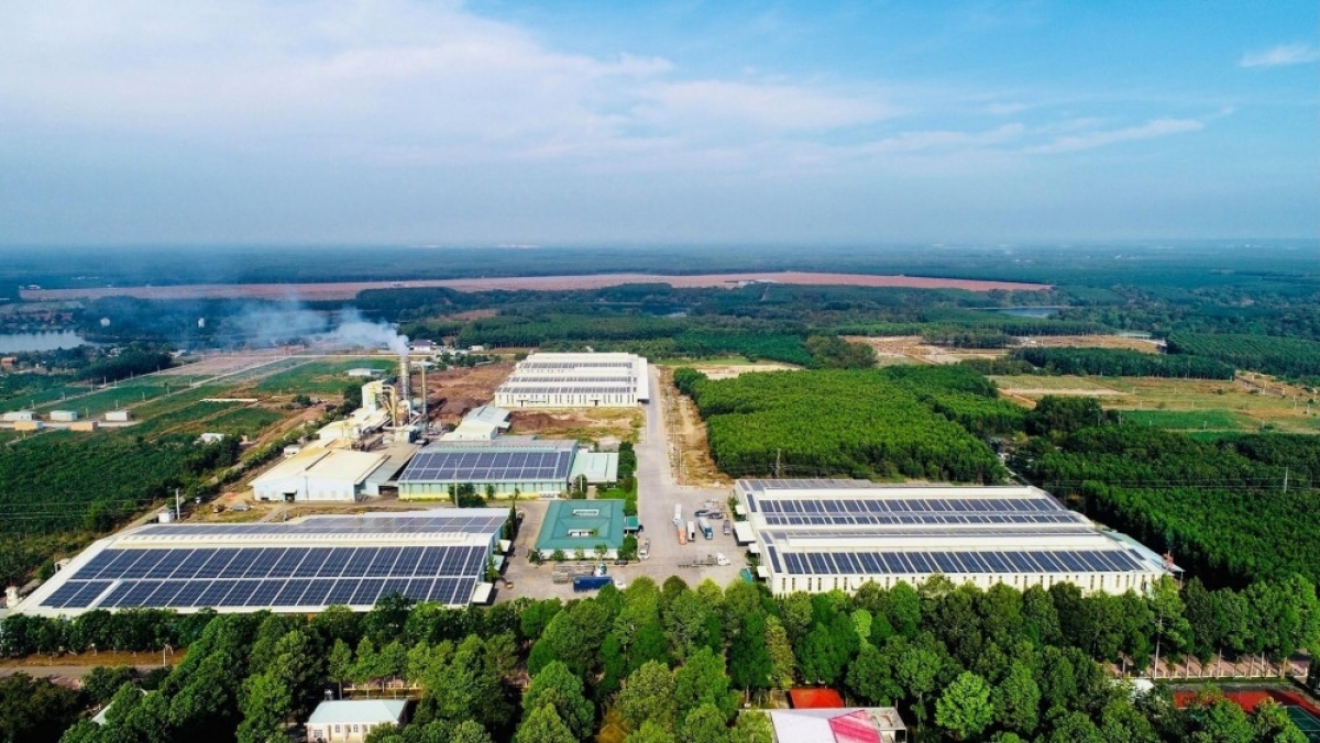 Nhận thức về chuyển đổi xanh của doanh nghiệp đã thay đổi.