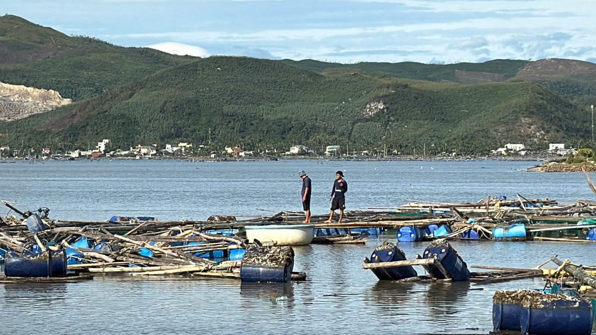 Bão số 13 (Kalmaegi) đã phá hủy, cuốn trôi nhiều lồng bè nuôi thủy sản của người dân ven biển.