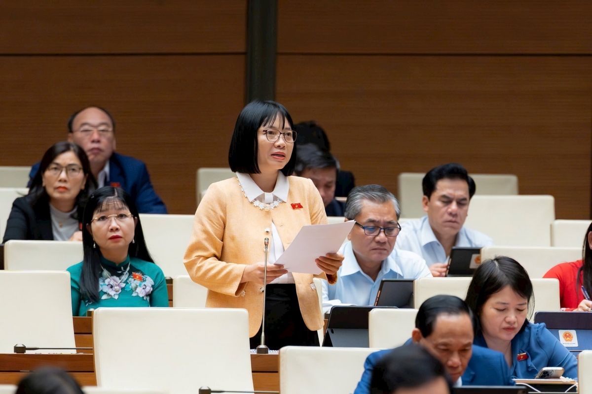 Các đại biểu đóng góp ý kiến cho dự thảo Luật Dân số