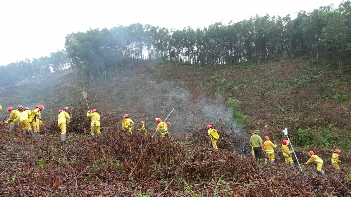 Công tác diễn tập ứng phó tình huống cháy rừng được các địa phương, đơn vị thực hiện thường xuyên trước khi mùa khô đến