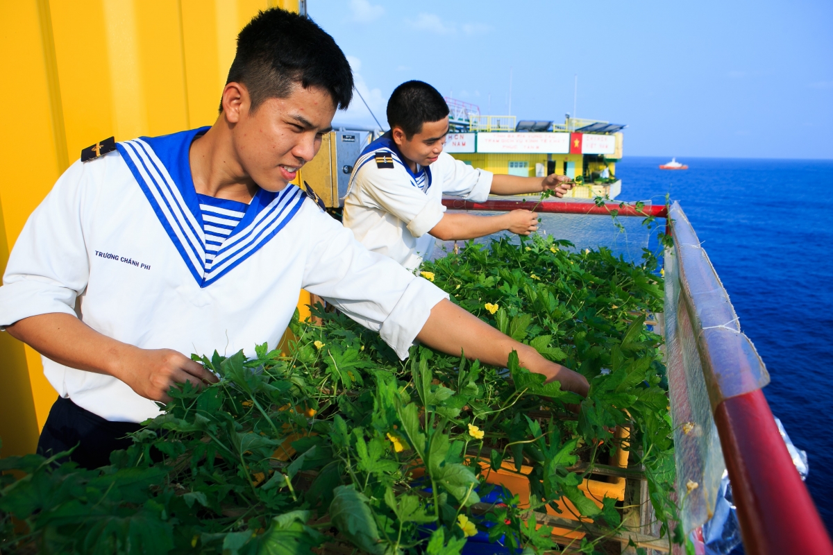 Đoàn viên trên Đảo Cô Lin, Đặc khu Trường Sa, Vùng 4 Hải quân tăng gia sản xuất