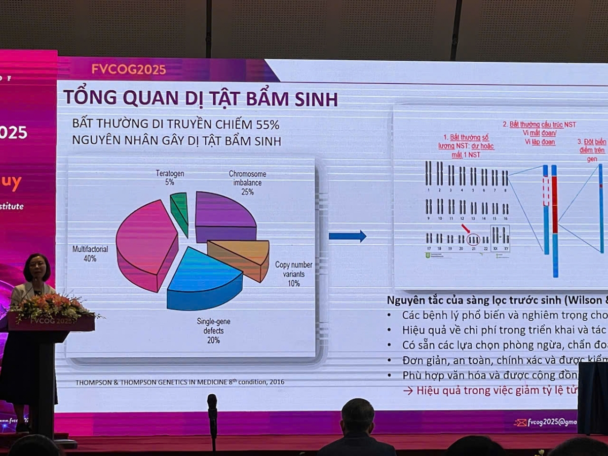 Các báo cáo liên tục được thông tin, cập nhật tại Hội nghị