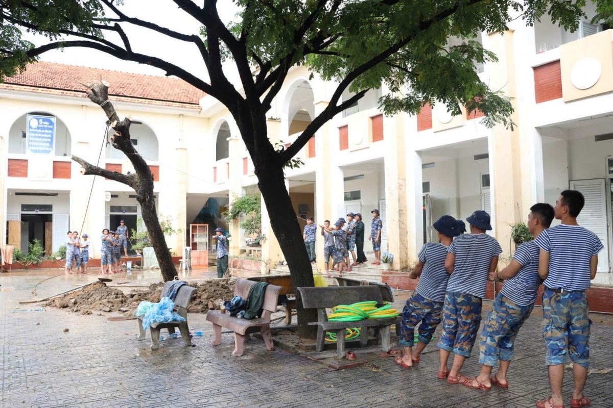 Dọn dẹp cây xanh gãy đổ bảo đảm an toàn trường học