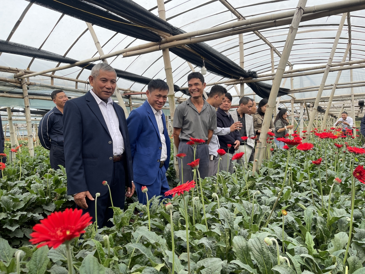 Các đại biểu đi tham quan mô hình trồng hoa công nghệ cao tại HTX Đồng Tháp 