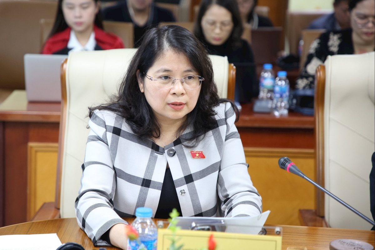 Phó Chủ nhiệm Ủy ban Pháp luật và Tư pháp Trần Hồng Nguyên phát biểu tại tọa đàm.