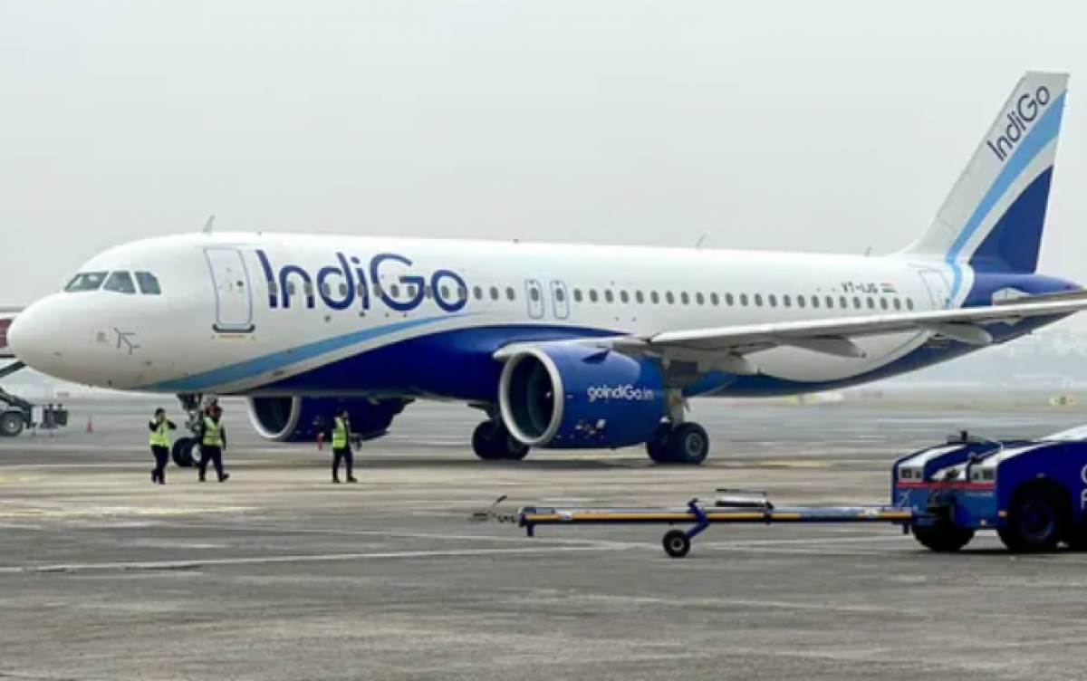 Hình minh họa (X)