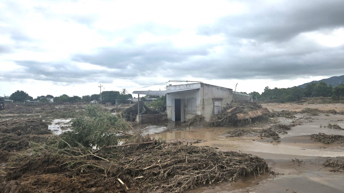Nhà dân và nhiều diện tích sản xuất ở xã Tuy Phong bị bùn đất, cây cối và nước lũ tràn qua vùi lấp, gây thiệt hại nghiêm trọng sau vụ vỡ hồ chứa nước trên núi.